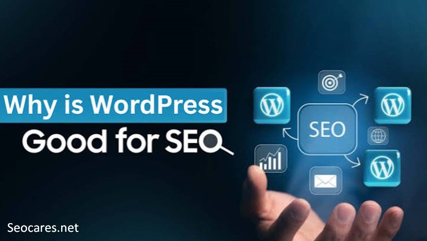 WordPress SEO Matters